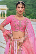 Multi Colour Embroidered Lehenga Set with Mirror & Floral Detailing RTI