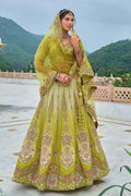Parrot Green Embroidered Lehenga Set with Mirror & Floral Detailing RTI