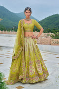 Parrot Green Embroidered Lehenga Set with Mirror & Floral Detailing RTI