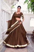 Elegant Brown Lehenga Choli Detailing – Navratri Festival RTI