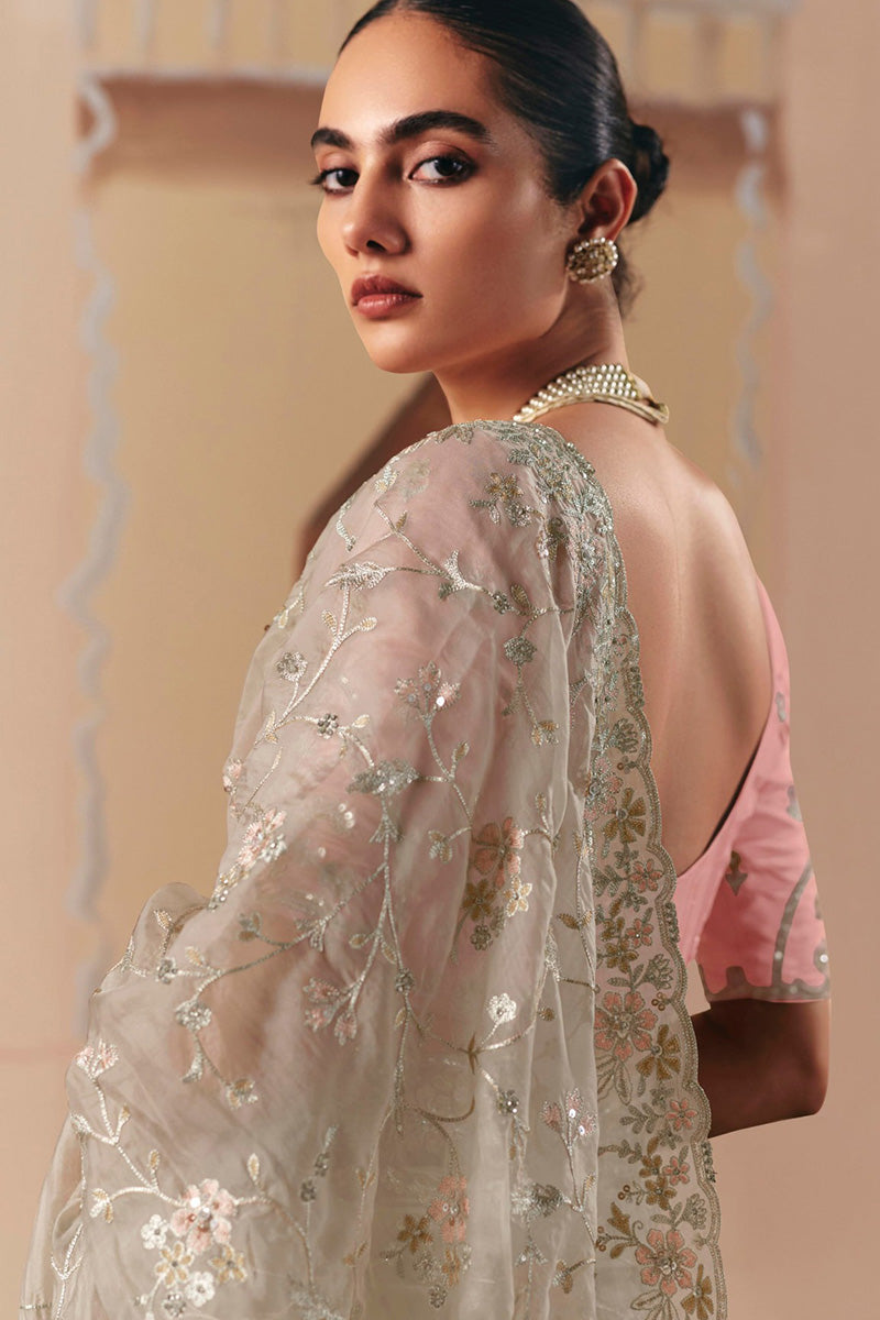 Festive Grey Saree with Zari Embroidery – Party Ready Look RTI