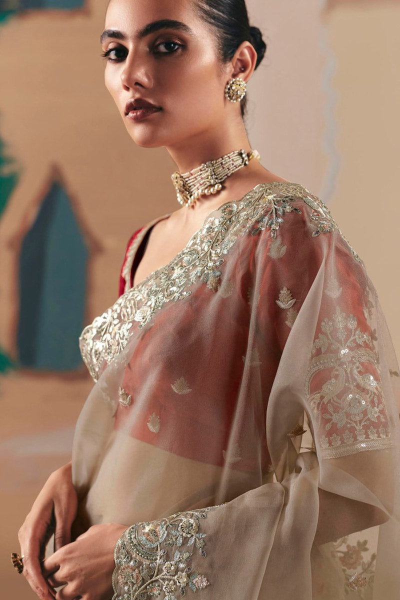 Perfect Party Wear Brown Saree with Designer Blouse RTI