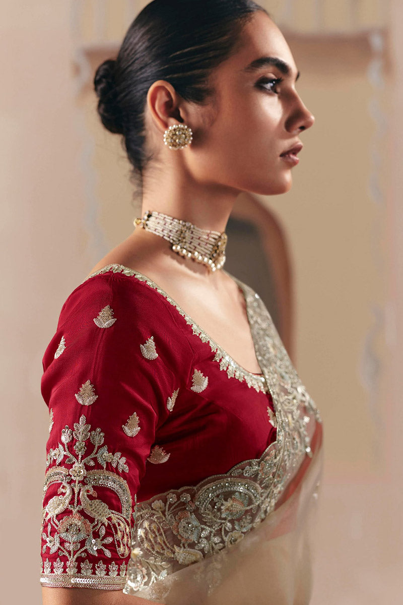 Perfect Party Wear Brown Saree with Designer Blouse RTI