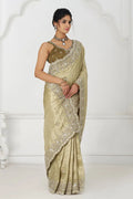 Champagne Chiku Silk Saree with Sequin Embroidery KSR