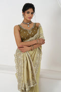 Champagne Chiku Silk Saree with Sequin Embroidery KSR