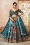 Blue Banarasi Aari Work Lehenga with Dupatta KSR