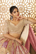 Chiku Champagne Banarasi Aari Work Lehenga with Dupatta KSR