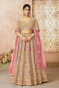 Chiku Champagne Banarasi Aari Work Lehenga with Dupatta KSR