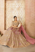 Chiku Champagne Banarasi Aari Work Lehenga with Dupatta KSR