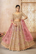 Chiku Champagne Banarasi Aari Work Lehenga with Dupatta KSR