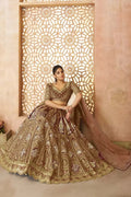 Coffee Banarasi Aari Work Lehenga with Dupatta KSR