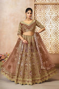Coffee Banarasi Aari Work Lehenga with Dupatta KSR
