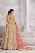 Chiku Banarasi Aari and Sequins Work Lehenga with Dupatta for Brides KSR