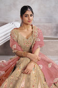 Chiku Banarasi Aari and Sequins Work Lehenga with Dupatta for Brides KSR