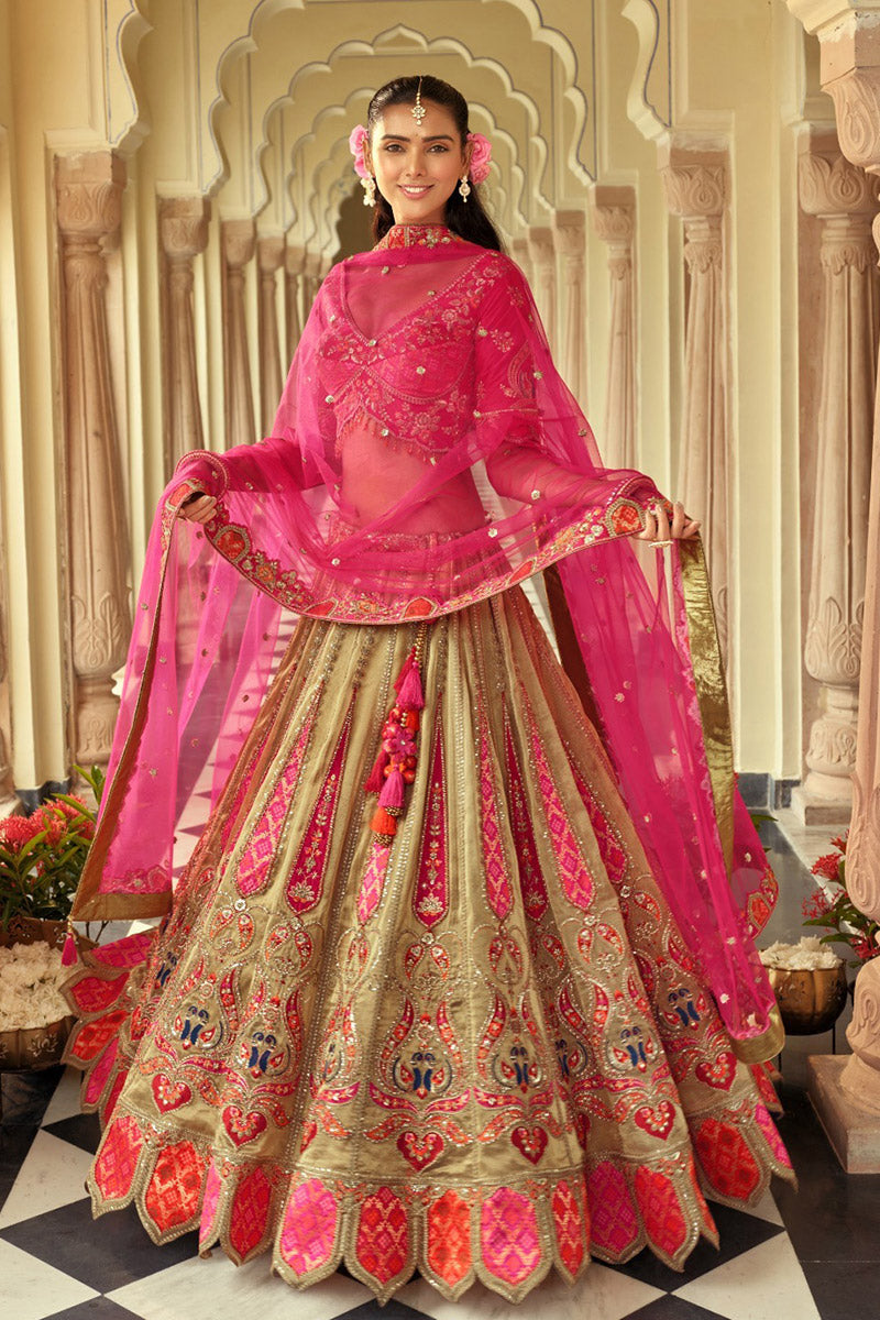 Traditional Multi Colour Embroidered Lehenga with Vibrant Rani Pink Dupatta RTI