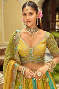 Festive Multi Colour Lehenga Set with Intricate Embroidery RTI