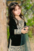 Green Embroidered Girls Ethnic Dress – Traditional Kids Outfit UK RTI