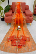 Elegant Orange Organza Embroidered Saree | Party Wear Saree UK RTI