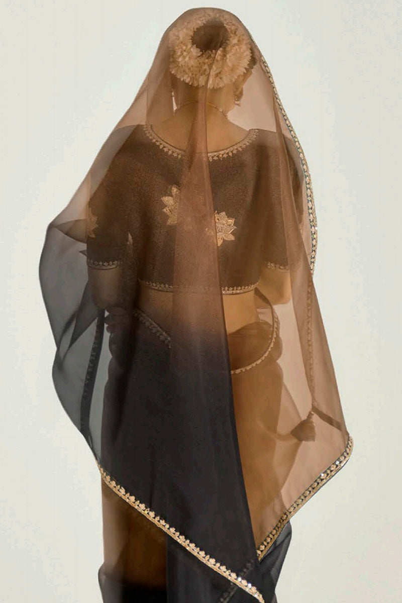 Brown Trendy Organza Saree with Sequins Embroidered Black Blouse LF