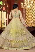 Parrot green Embroidered Border, Floral Motifs & Statement Dupatta PR