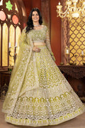 Parrot green Embroidered Border, Floral Motifs & Statement Dupatta PR